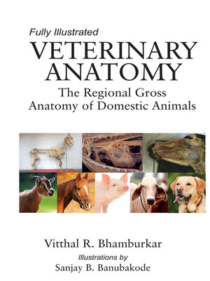 cover image of Veterinary Anatomy